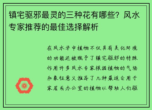 镇宅驱邪最灵的三种花有哪些？风水专家推荐的最佳选择解析